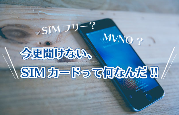 SIMフリー?MVNO?今更聞けない、SIMカードって何なんだ !!