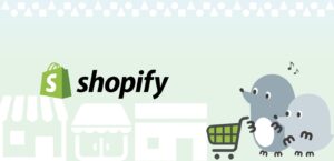 Shopify_MV